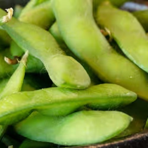 (Ap) Edamame.